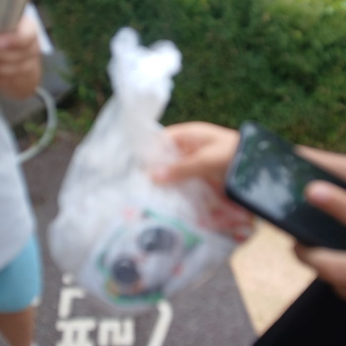 pics